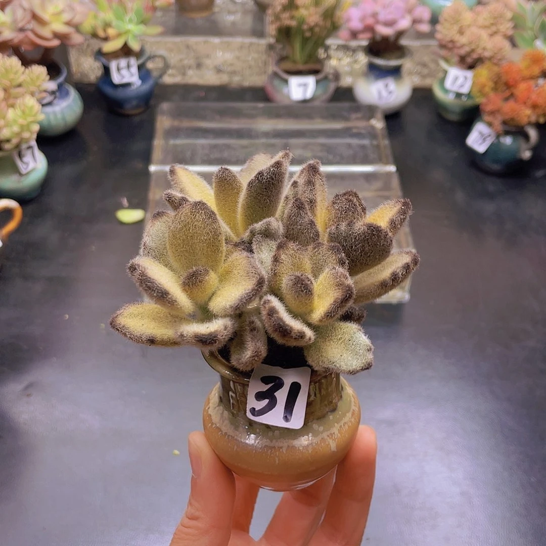 7***爱和我花钱花钱就去花钱