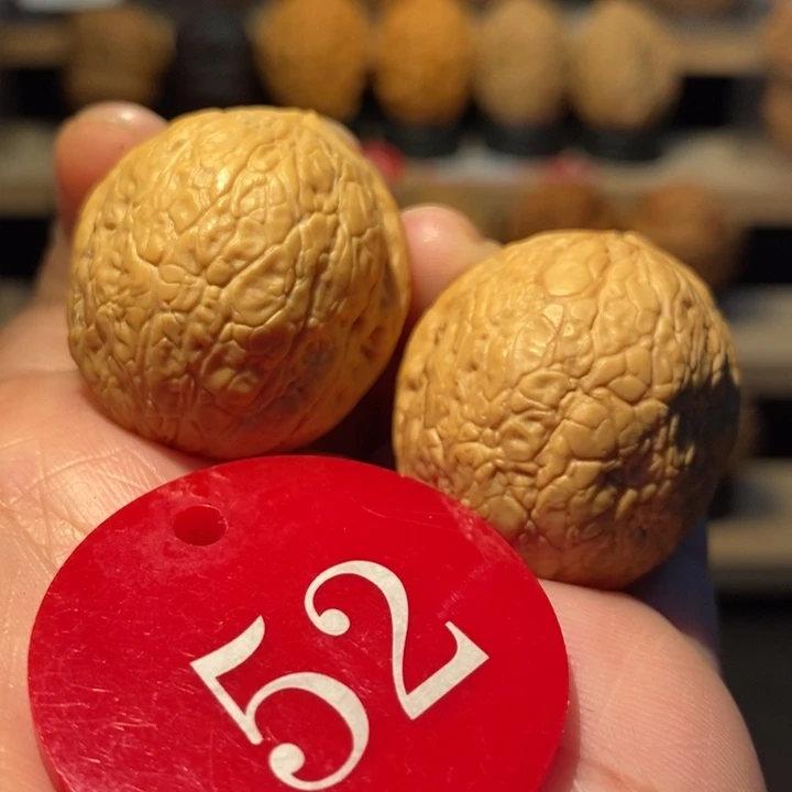 木质类小魔丸31尺寸