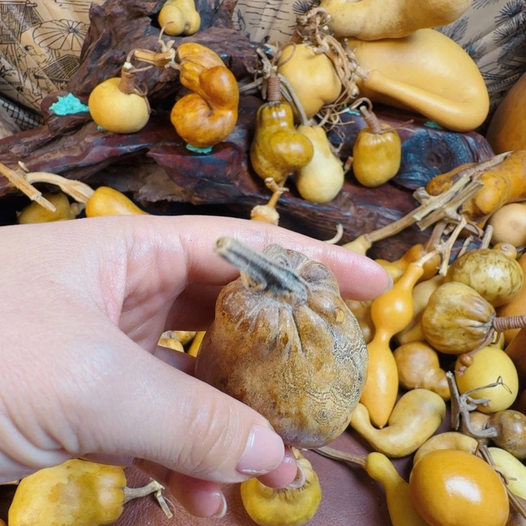 凯***…生生世世生生世世生生世世生生世世