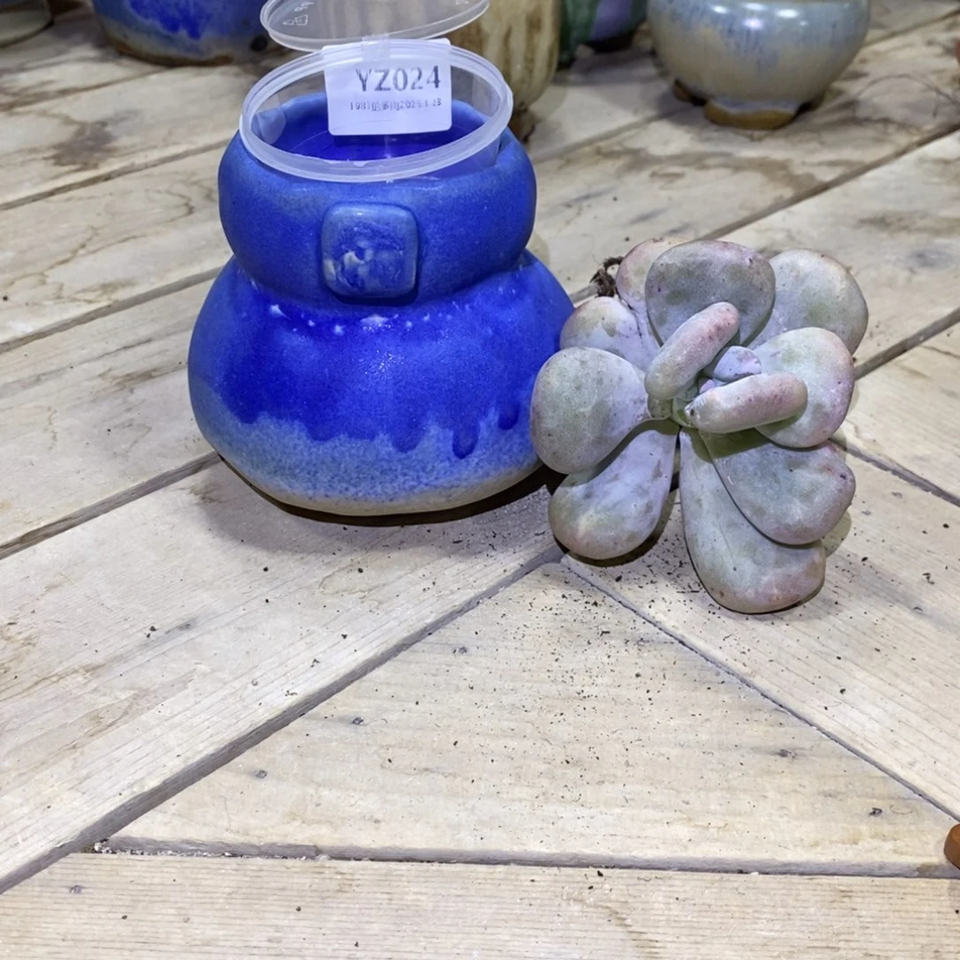 粗砂花盆小****rYZ024一套rourou➕小红药一支