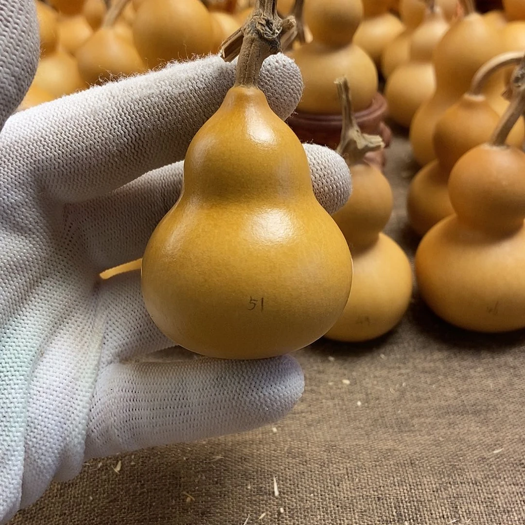 文玩葫芦 完美主义者 慎拍51