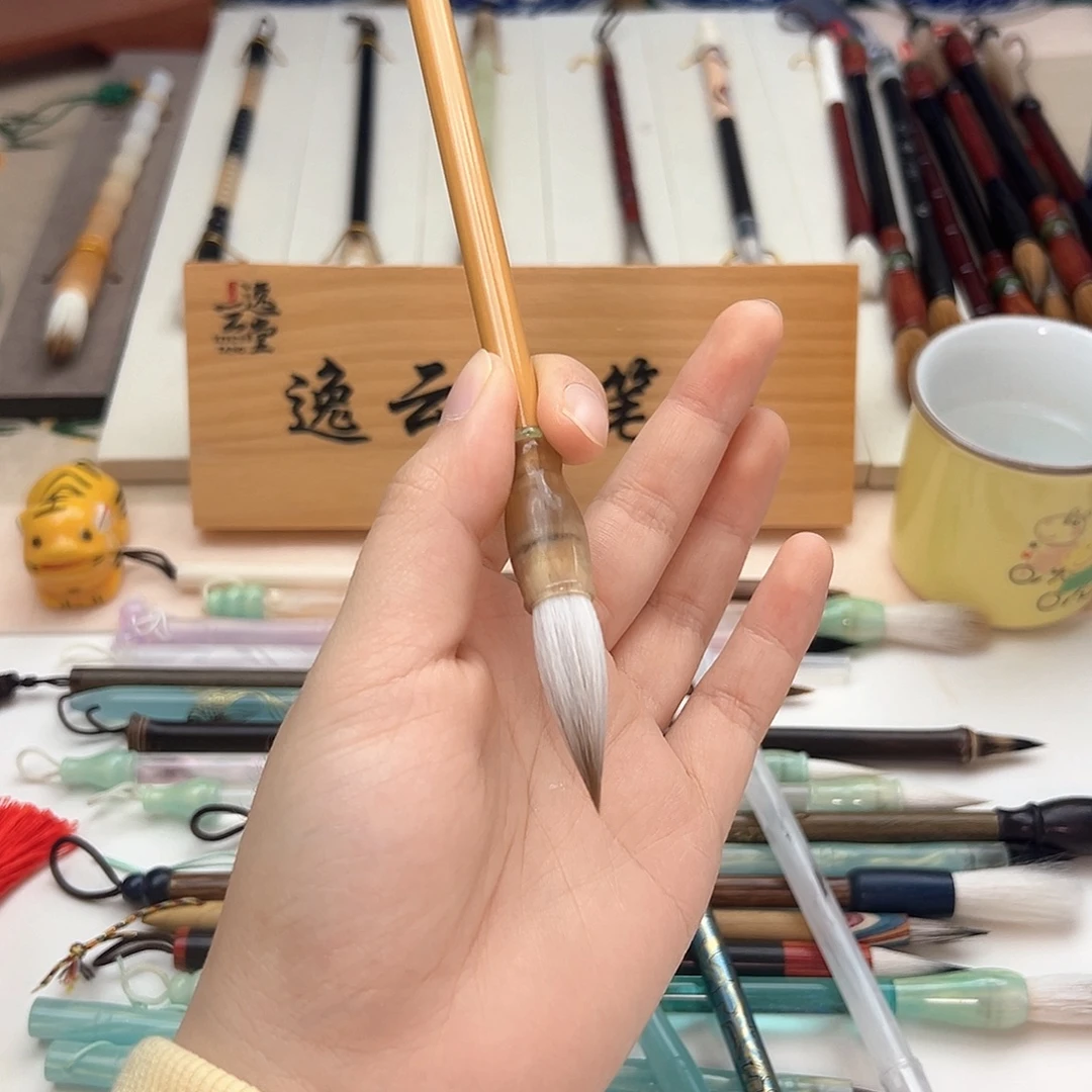 哈哈哈哈哈新品福利