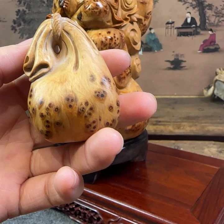 柏木（崖柏）崖柏111111