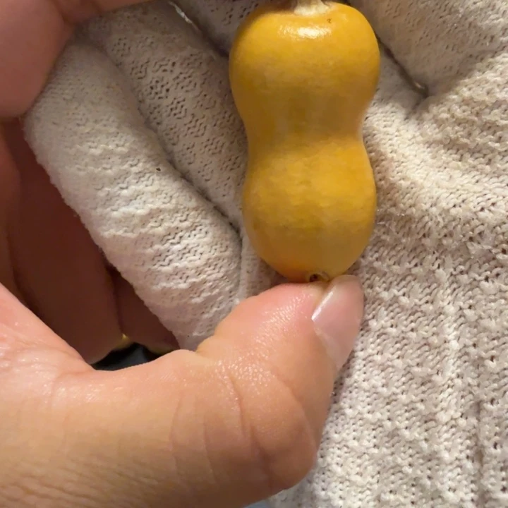 水***池66666666666666666