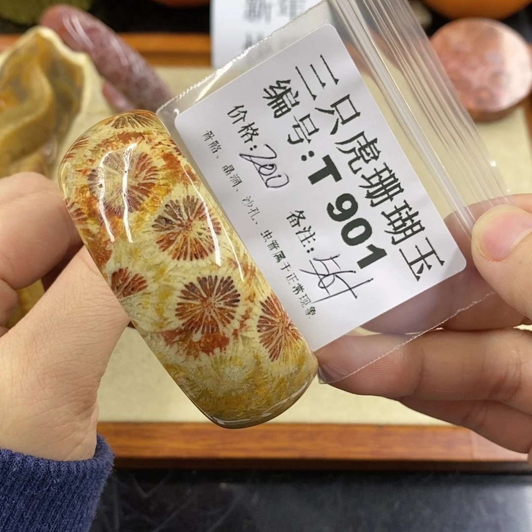 硅化珊瑚（珊瑚玉）1未镶嵌?**意