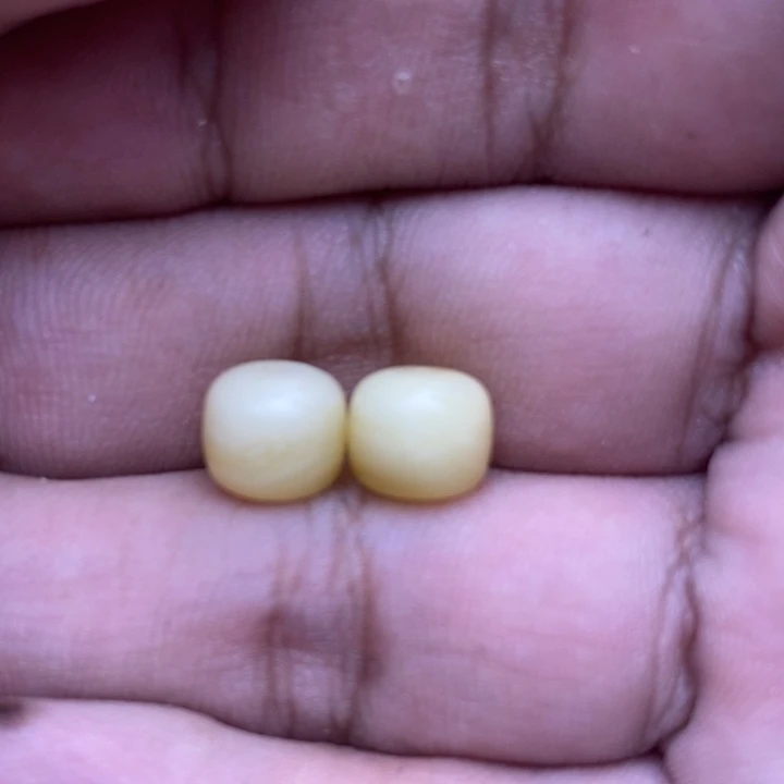 未镶嵌琥珀裸石52号8.7*7.6左右2颗