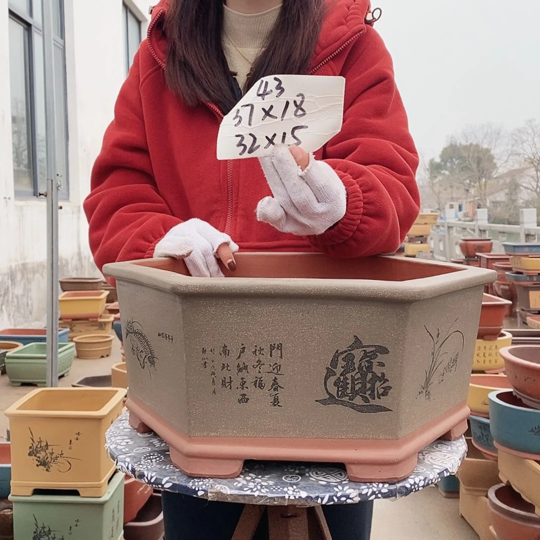 紫砂花盆紫砂花盆