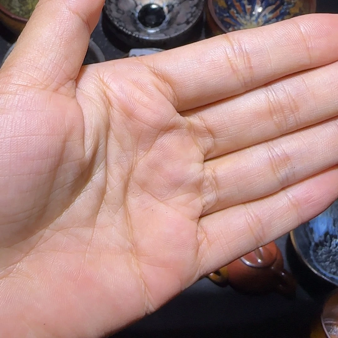 向***走茶盏福建盏茶器钵