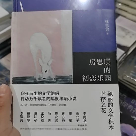 房思琪的初恋乐园精装