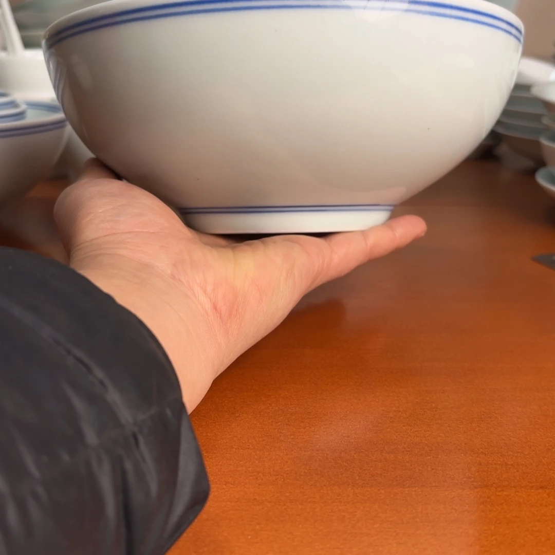 碗8英寸蓝线广口碗