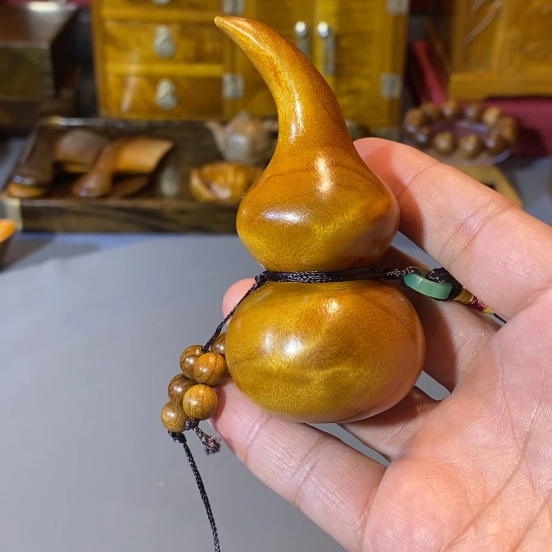 楠木小叶桢楠 葫芦