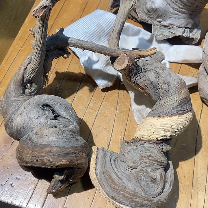 感***人柏木太行山区柏柏柏