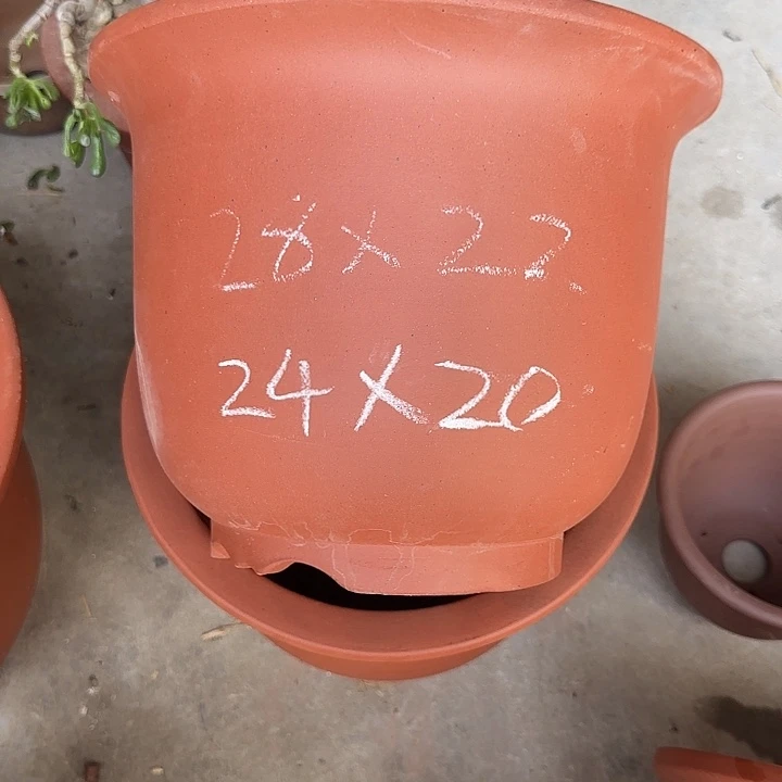 28+22两只定制款京中