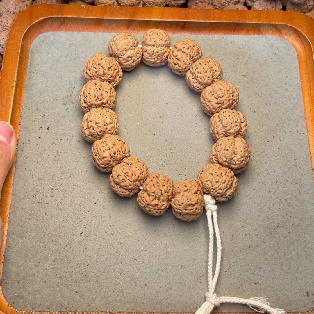 菩提43号金刚菩提梁梅花23