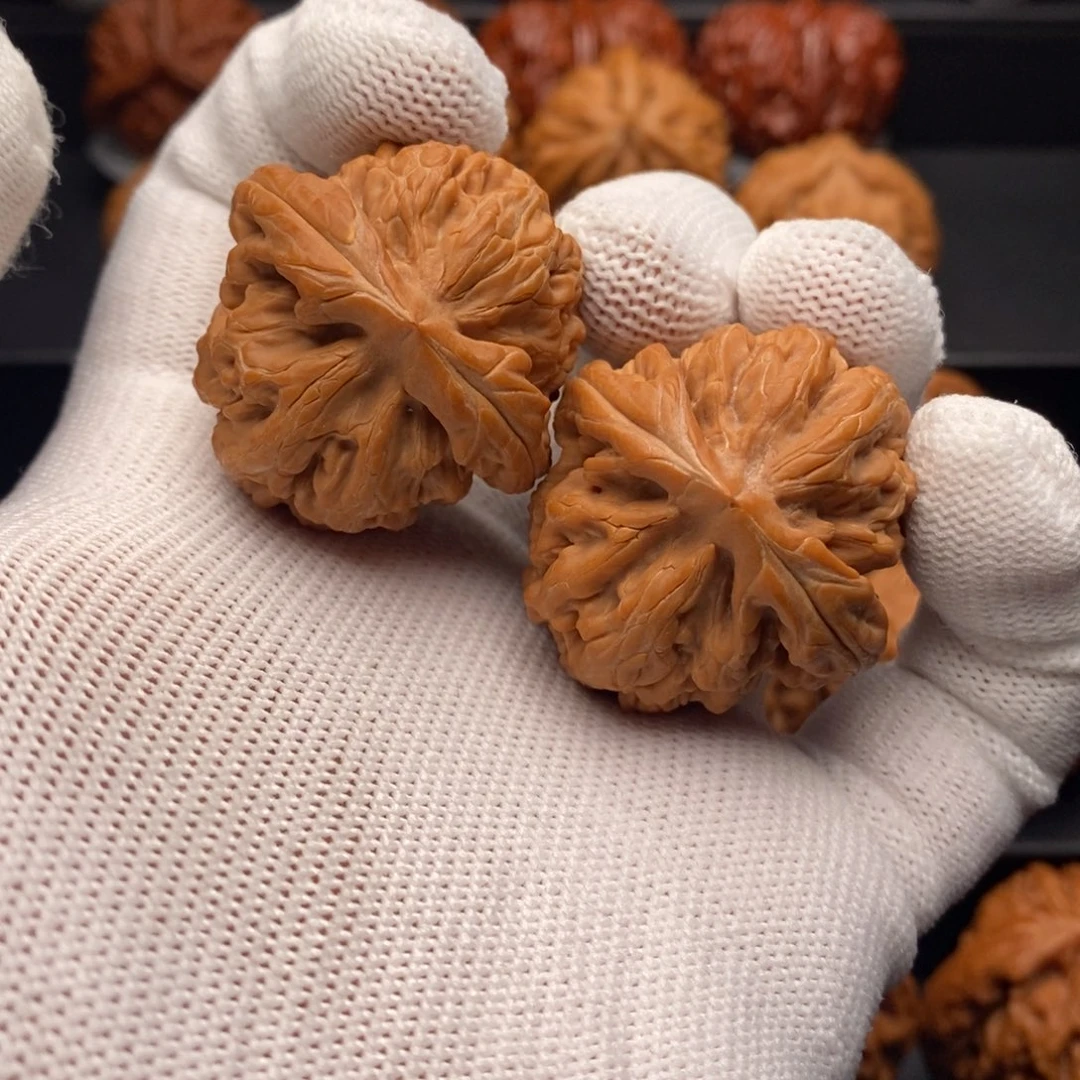 文玩核桃把件37尺全品红锦鲤