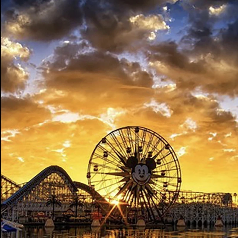 新款迪家2025刺绣蜜蜂修身短袖