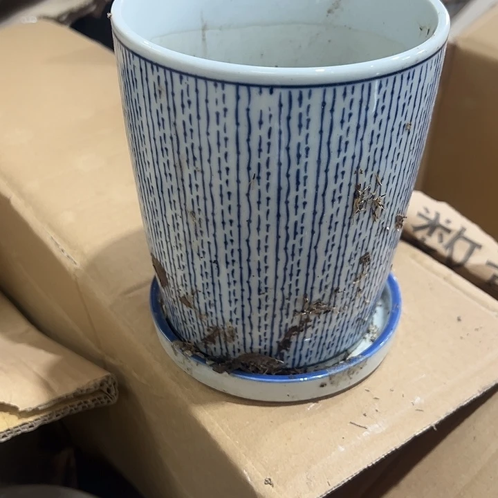 瓷片瑕。。。。。。？？？？？？？。。。。