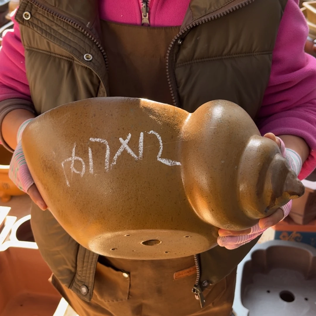 花盆紫砂盆景艺术