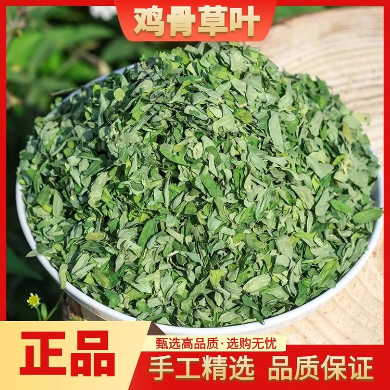 正宗鸡骨草叶精选鸡骨叶泡水新鲜干货散装250g-500g自然晒干叶菜
