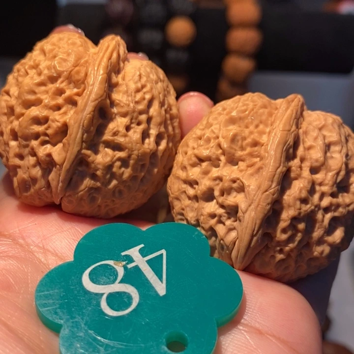 26号链接龙鳞铁狮子41尺寸