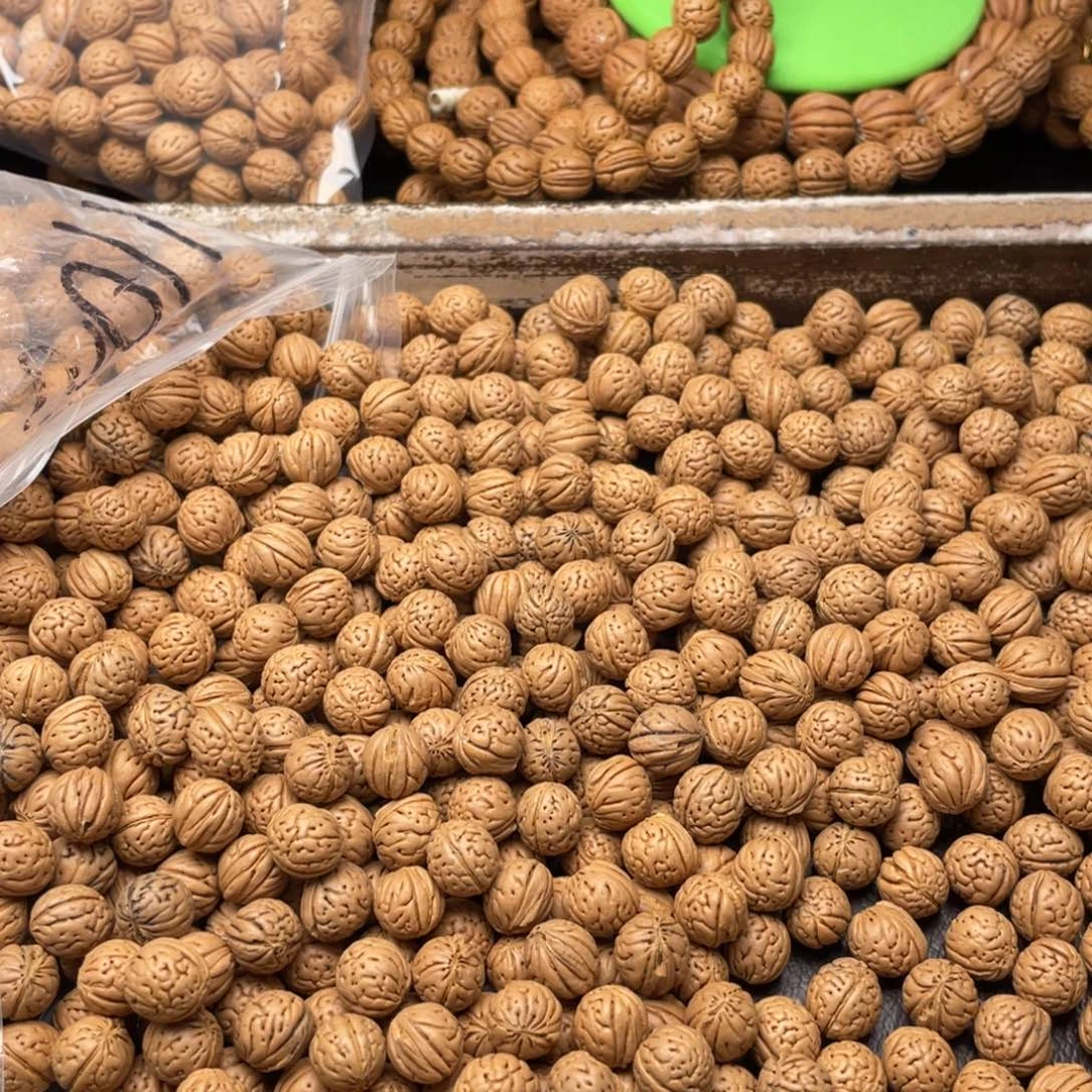 【闪购商品】༄****散子发货600米