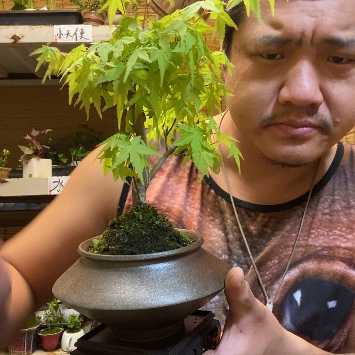 开*李一物一拍所见即所得432