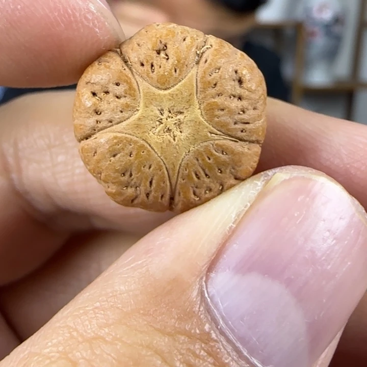 莲花菩提吊坠五星三通