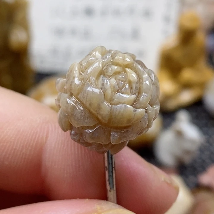 颈饰未镶嵌硅化珊瑚（珊瑚玉）小