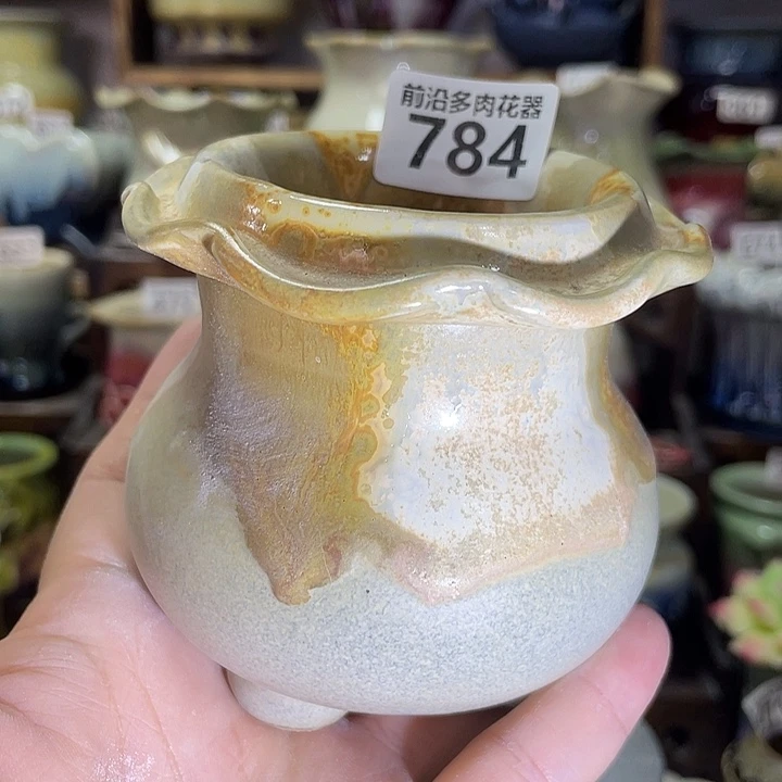 狼盆内口径6高度9