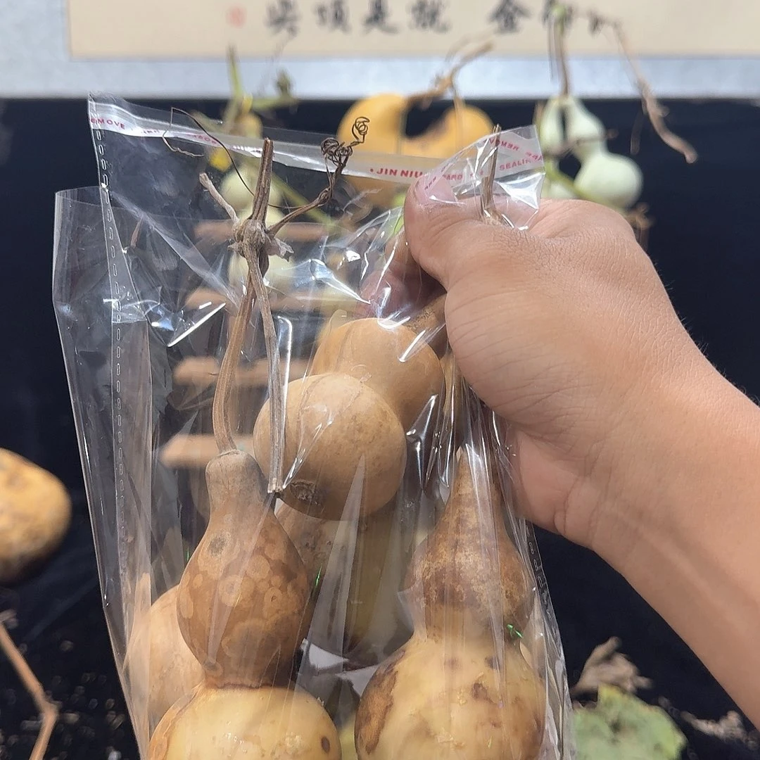 秦***阁定向定向定向定向定向