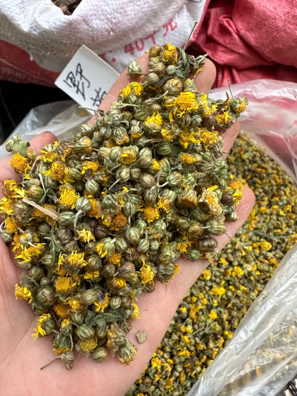 菊花 野菊花 广西本地野菊花100克一份