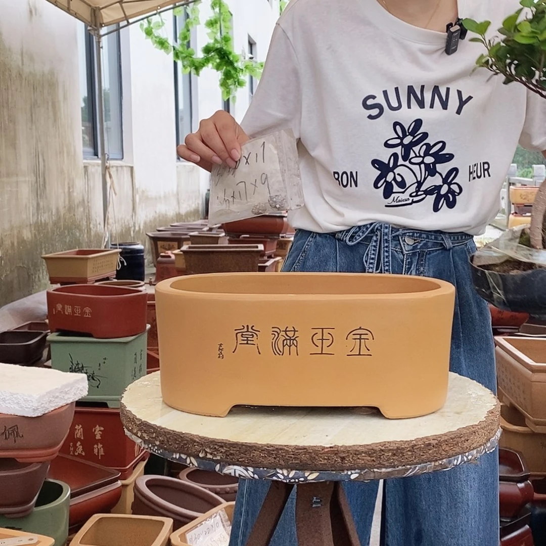 紫砂花盆紫砂花盆