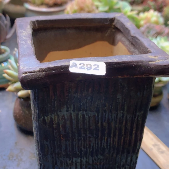 ?****花盆一个专拍，小美满A292