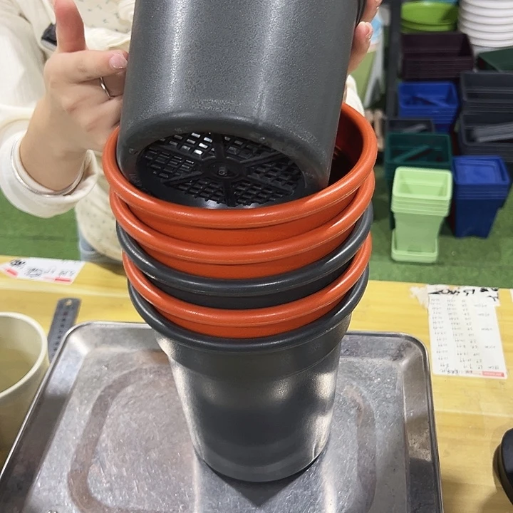 特价翻边口16.5高17混色无托6只