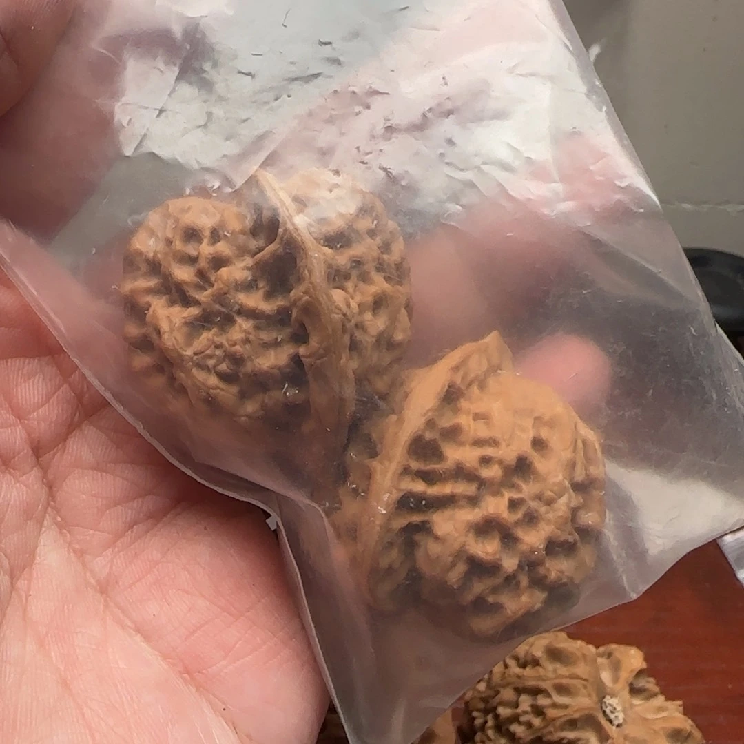 文玩核桃把件观音肚