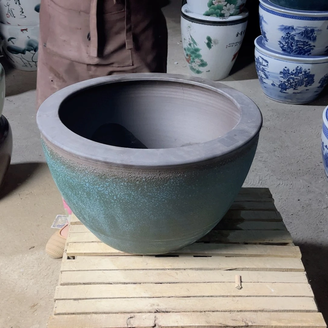 瓷片兰泡52.8888888