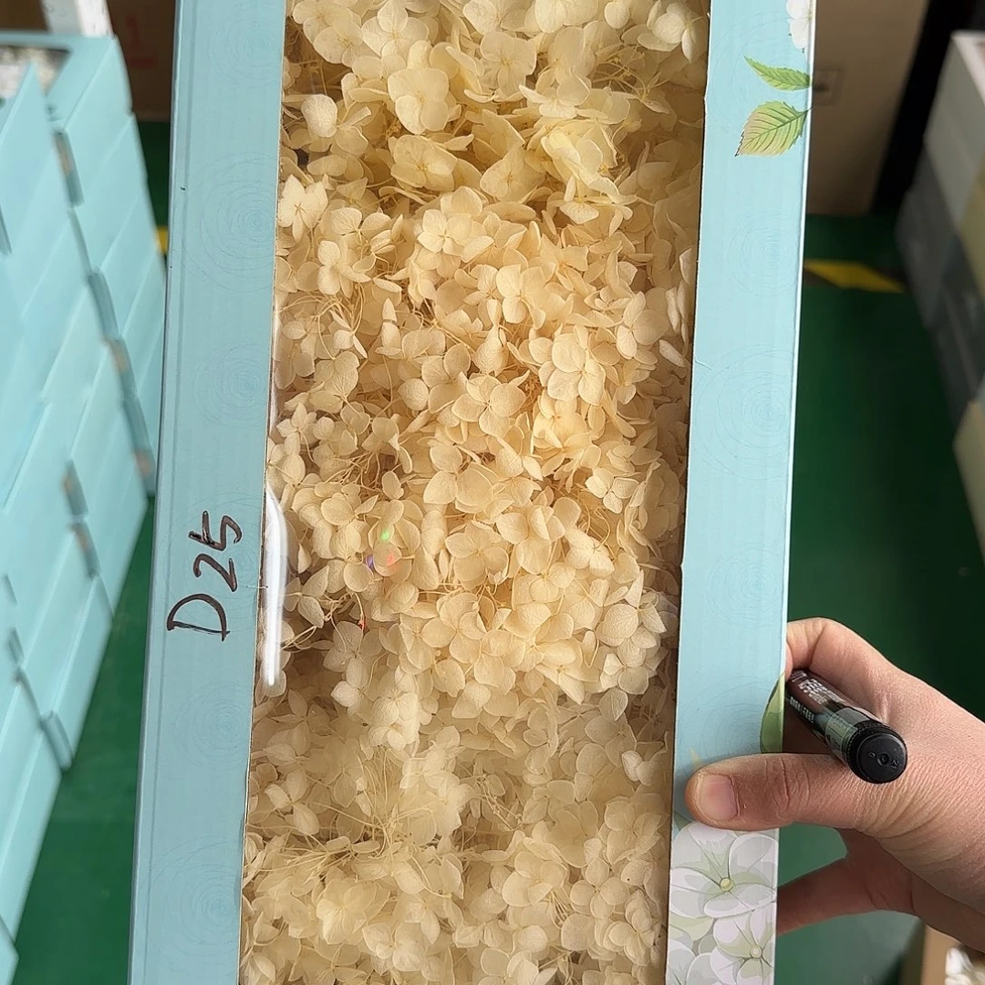 D25号米黄色绣球120克左右