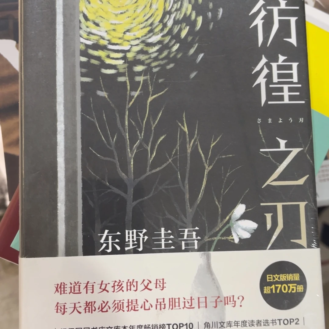 彷徨之刃精装一个