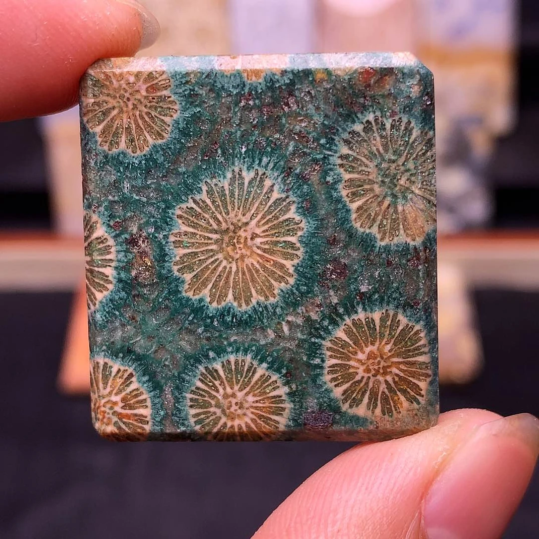 郝***梦合金硅化珊瑚（珊瑚玉）珠宝奇石