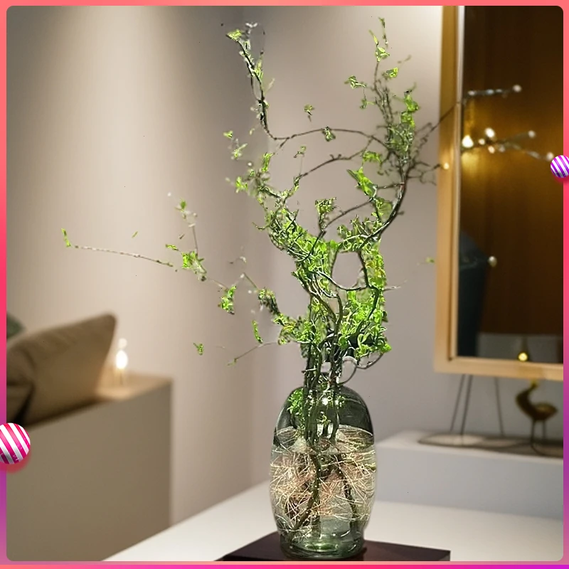 精品水培鲜枝龙柳花瓶客厅落地室内鲜花易活四季高端阳台植物装饰