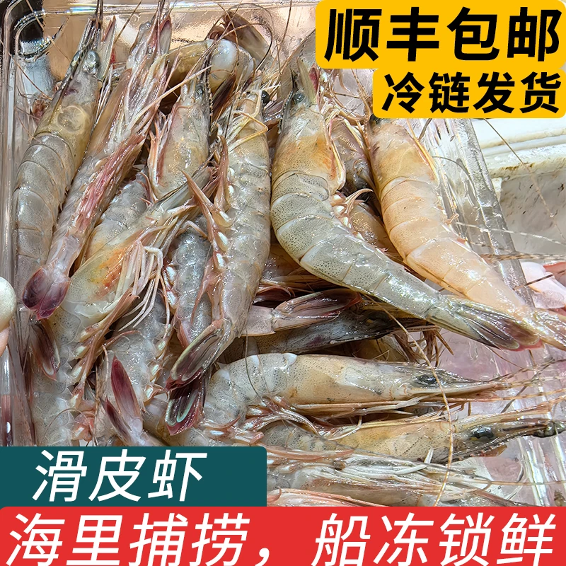 舟山滑皮虾剑虾硬壳虾条虾鹰抓虾新鲜冷冻海捕活皮虾大条海虾海鲜
