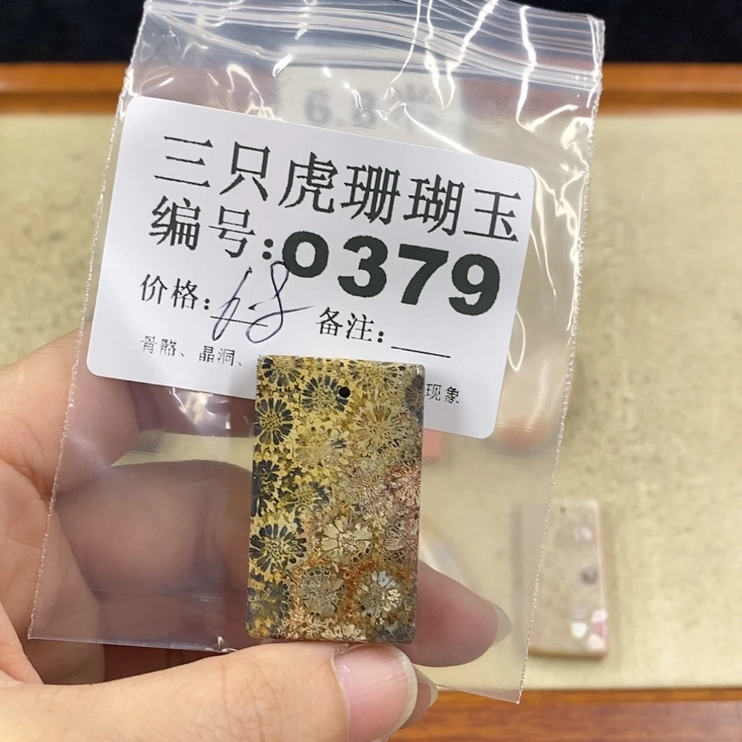 硅化珊瑚（珊瑚玉）1未镶嵌缘**你