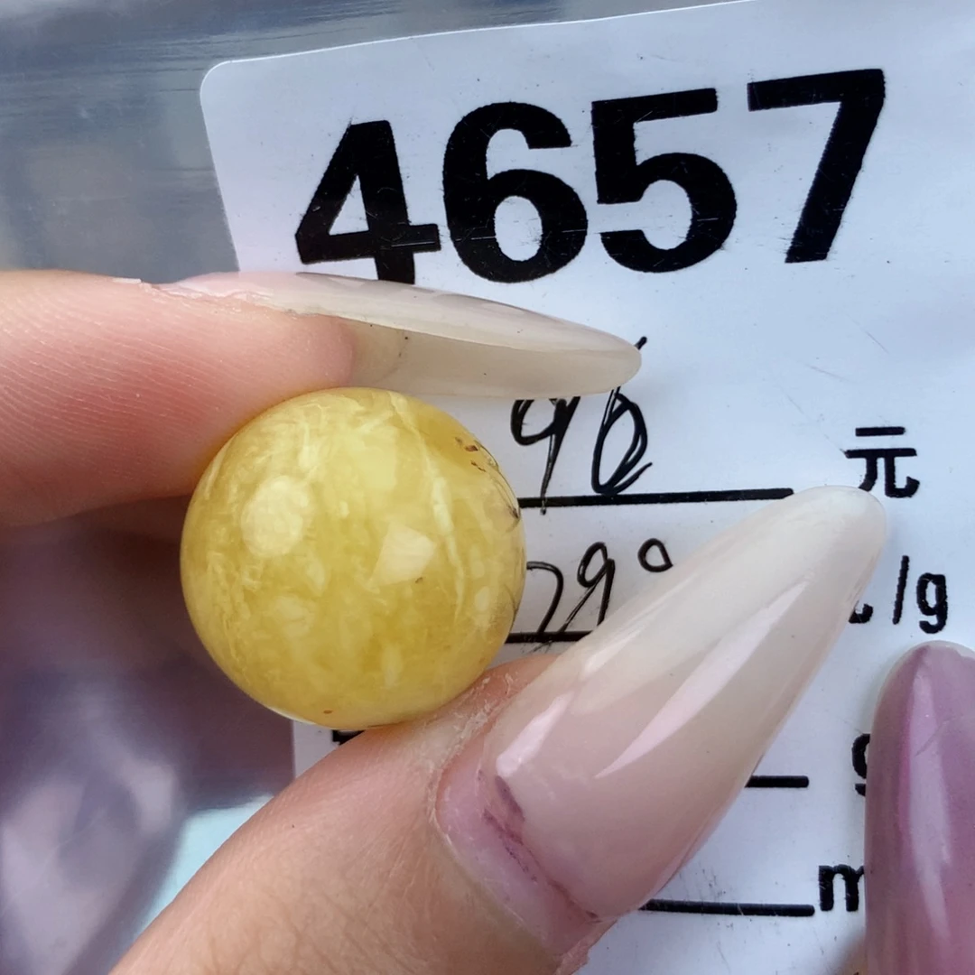 琥珀未镶嵌珠宝奇石18植物