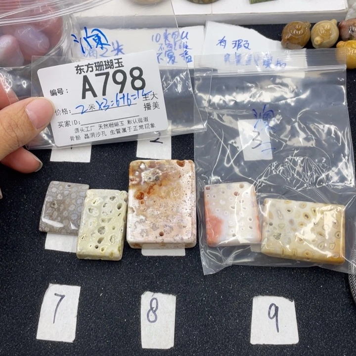 硅化珊瑚（珊瑚玉）颈饰合金澜