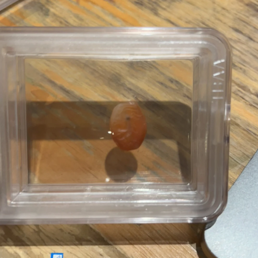 藏地密码，藏式珠子k221