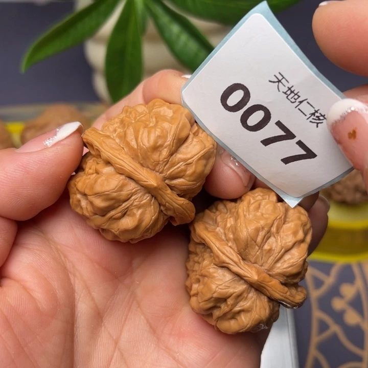 文玩核桃把件36蛤蟆头77