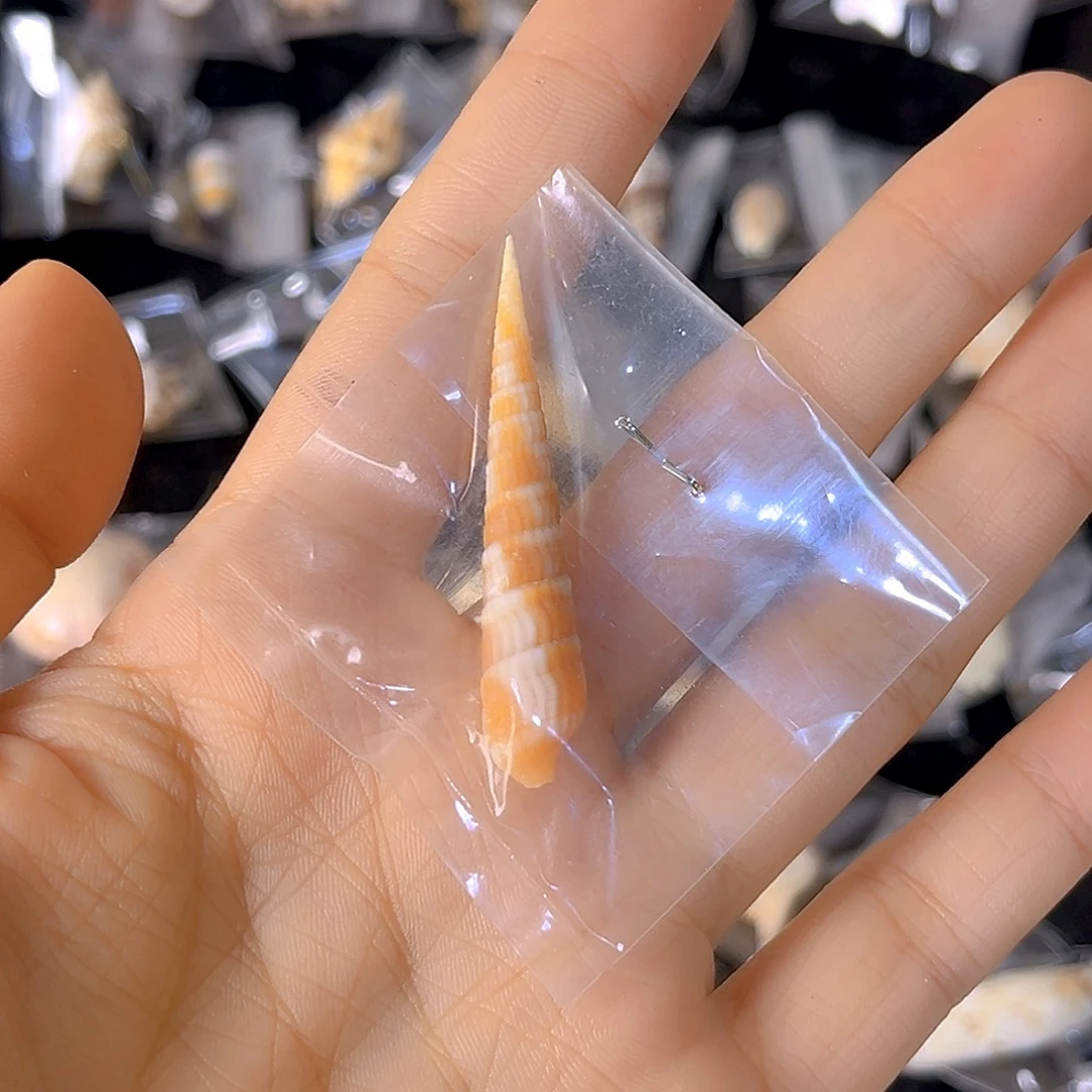 大理石磁石大****旺天然贝壳特价款不退不换