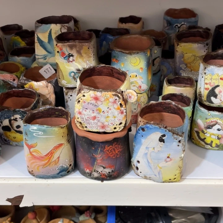 小睿多肉盆（缇安德鲁纳）