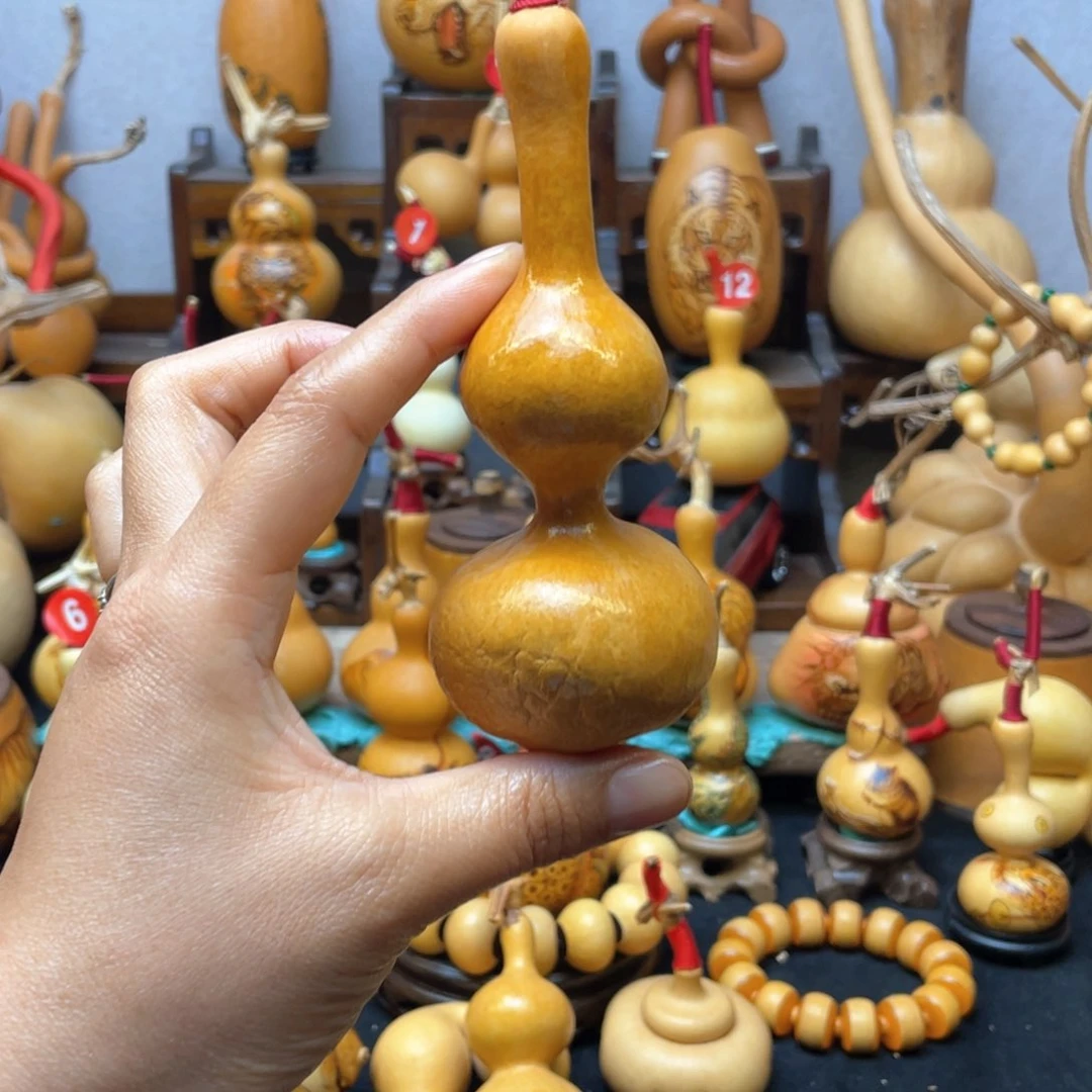 七**芦大自然的秘密第十一节的秘密