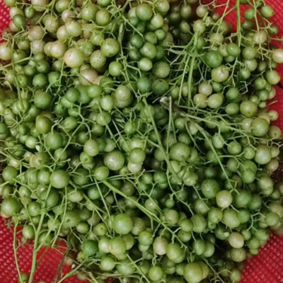 【助农产品】广西壮乡土特产—鸡皮果